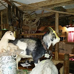 Photo n°5 de l'avis de Steffen.h fait le 31/03/2018 à 19:12 sur le  Wirtshaus beim Hader-Karle à Villingen-Schwenningen