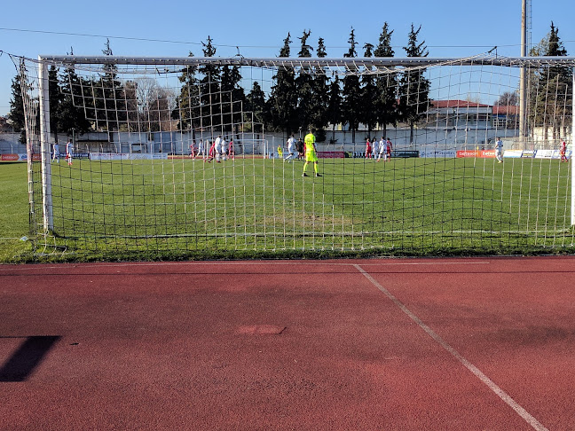 Pierikos F.C. - Κατερίνη