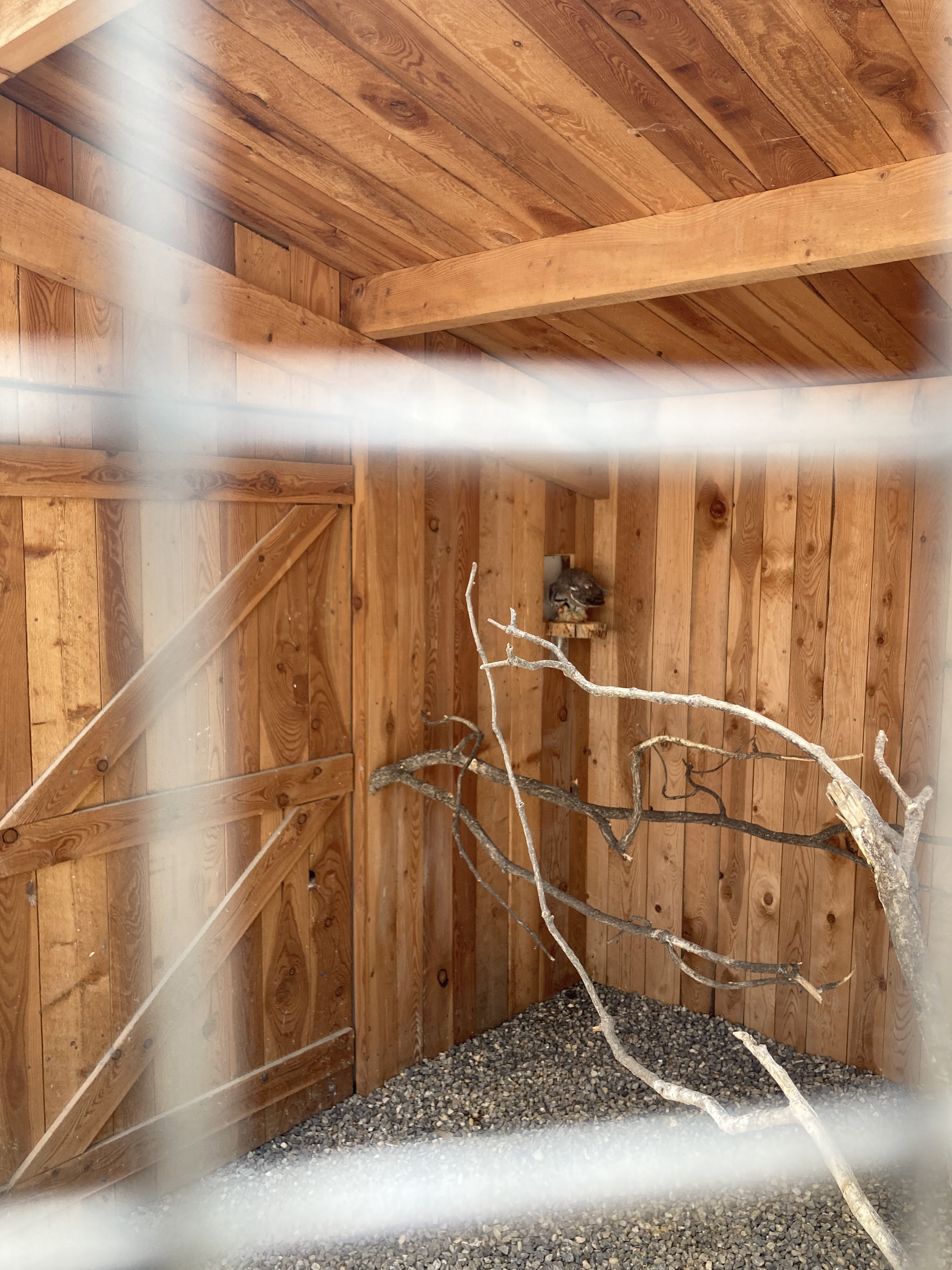 Photo n° 5 de l'avis de Laurianne.o fait le 26/08/2022 à 16:16