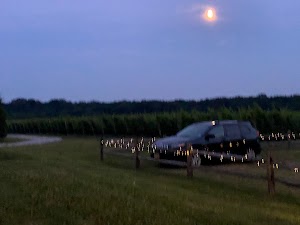 White Horse Winery - photo 87
