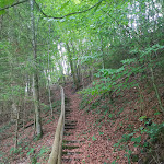 Photo n°8 de l'avis de mike.l fait le 13/08/2019 à 16:28 sur le  Waldrestaurant Maxlmühle à Valley