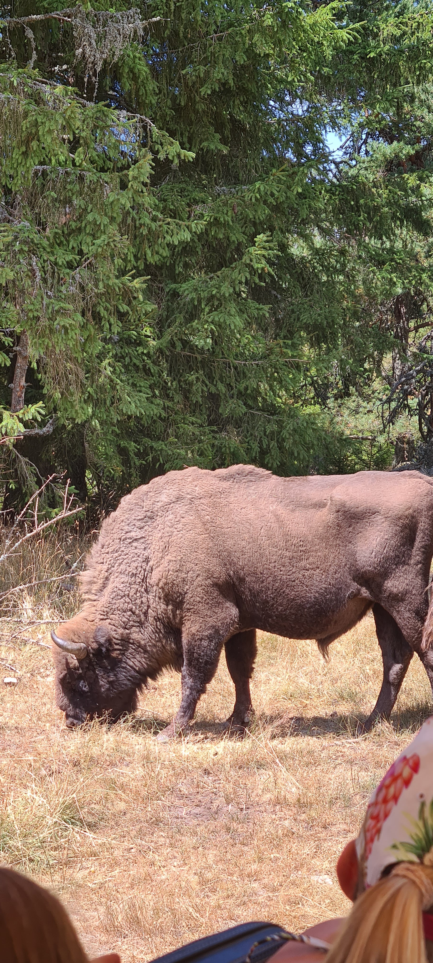 Photo n° 4 de l'avis de Marion.a fait le 05/08/2022 à 13:21