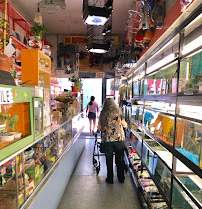 J & J Pet Shop - Photo 3 - Car repair in Bronx, NY, Queens
