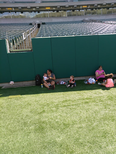 Stadium «Paul Brown Stadium», reviews and photos, 1 Paul Brown Stadium, Cincinnati, OH 45202, USA