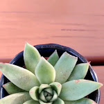 Photo n°2 de l'avis de Marta.i fait le 17/07/2022 à 10:40 sur le  Carvalhal Beach Nature à Carvalhal de Rocha