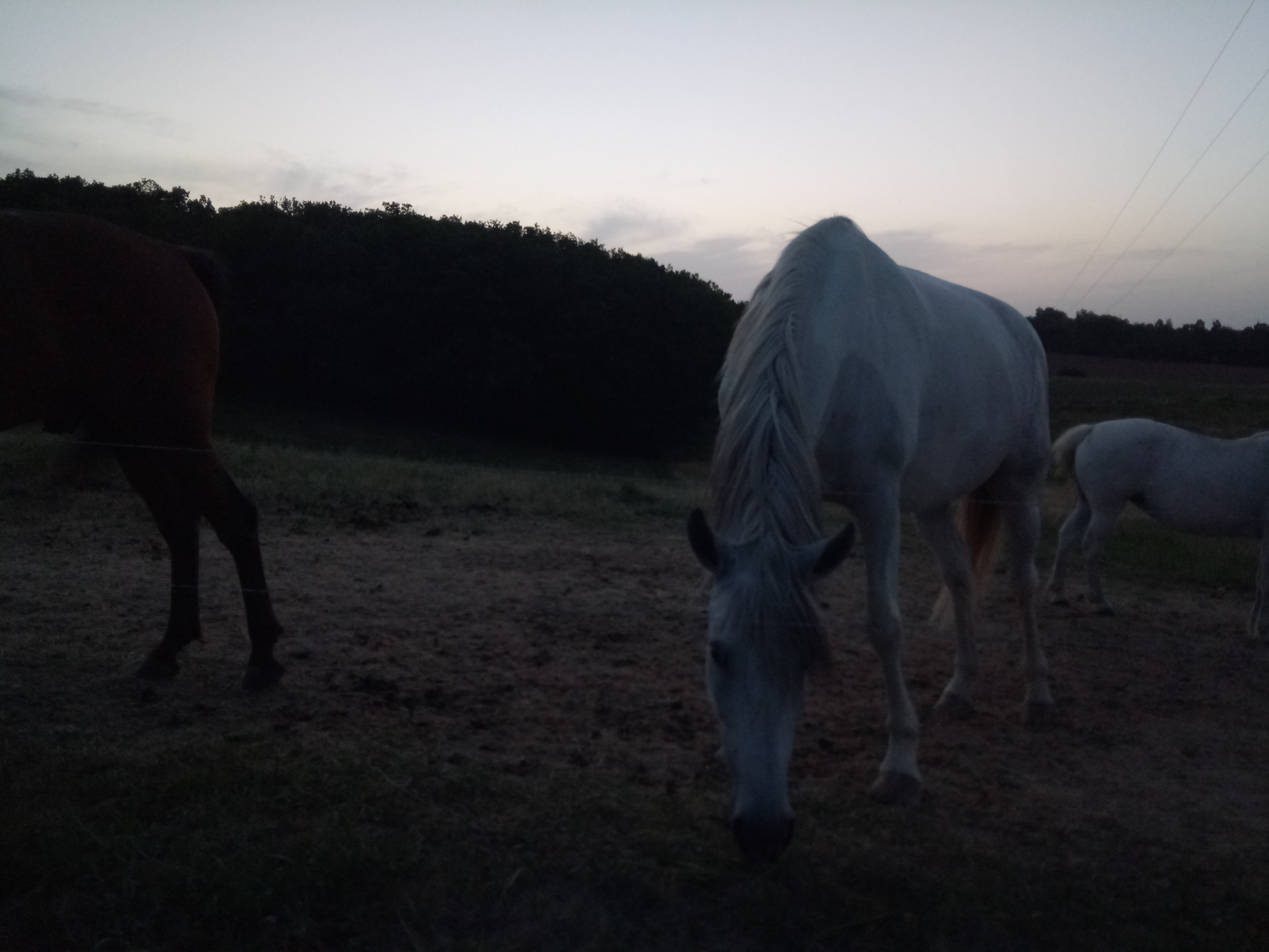 Photo n° 1 de l'avis de Vanessa.e fait le 10/07/2019 à 09:53