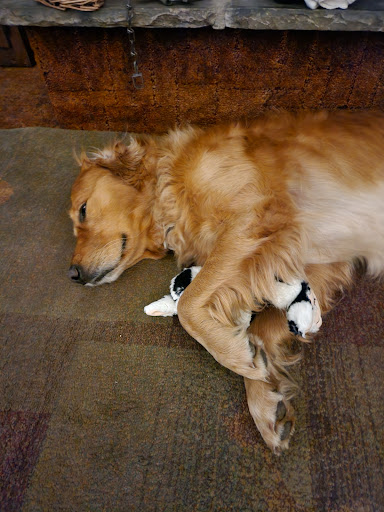 Minot Veterinary Clinic image