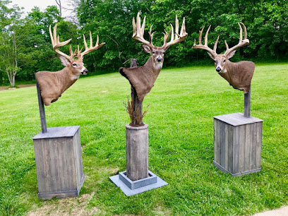 Tower Tines Trophy Hunts