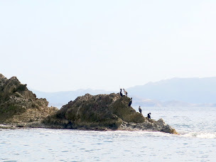 Photo n°48 de Auberge des Calanques à Ensuès-la-Redonne ()