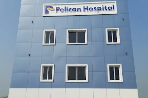 Pelican Hospital in Gudivada| Fibroids & PCOD Treatment | IVF Treatment image
