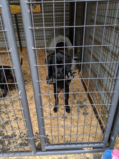 Animal Feed Store «Remnant Farms Feed & Supply», reviews and photos, 1501 Guild Rd, Woodland, WA 98674, USA