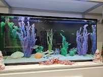 Kona Cleaners - Photo 6 - Car repair in Ontario, CA, Fontana