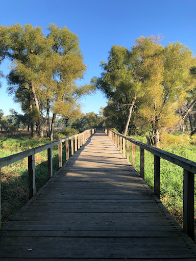 Donald Hackbarth Trail