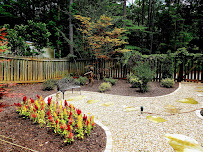 LawnSmyth - Photo 3 - Car repair in Cartersville, GA, Sandy Springs