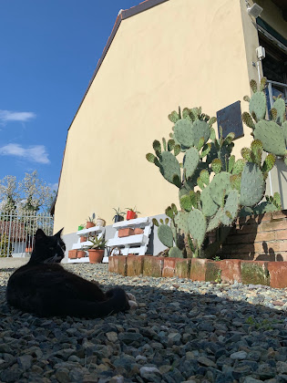 Extérieur Bed & Breakfast Cà degli Ovi 15048 Valenza