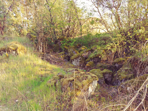 Park «Duwamish Hill Preserve», reviews and photos, 3800 S 115th St, Tukwila, WA 98168, USA