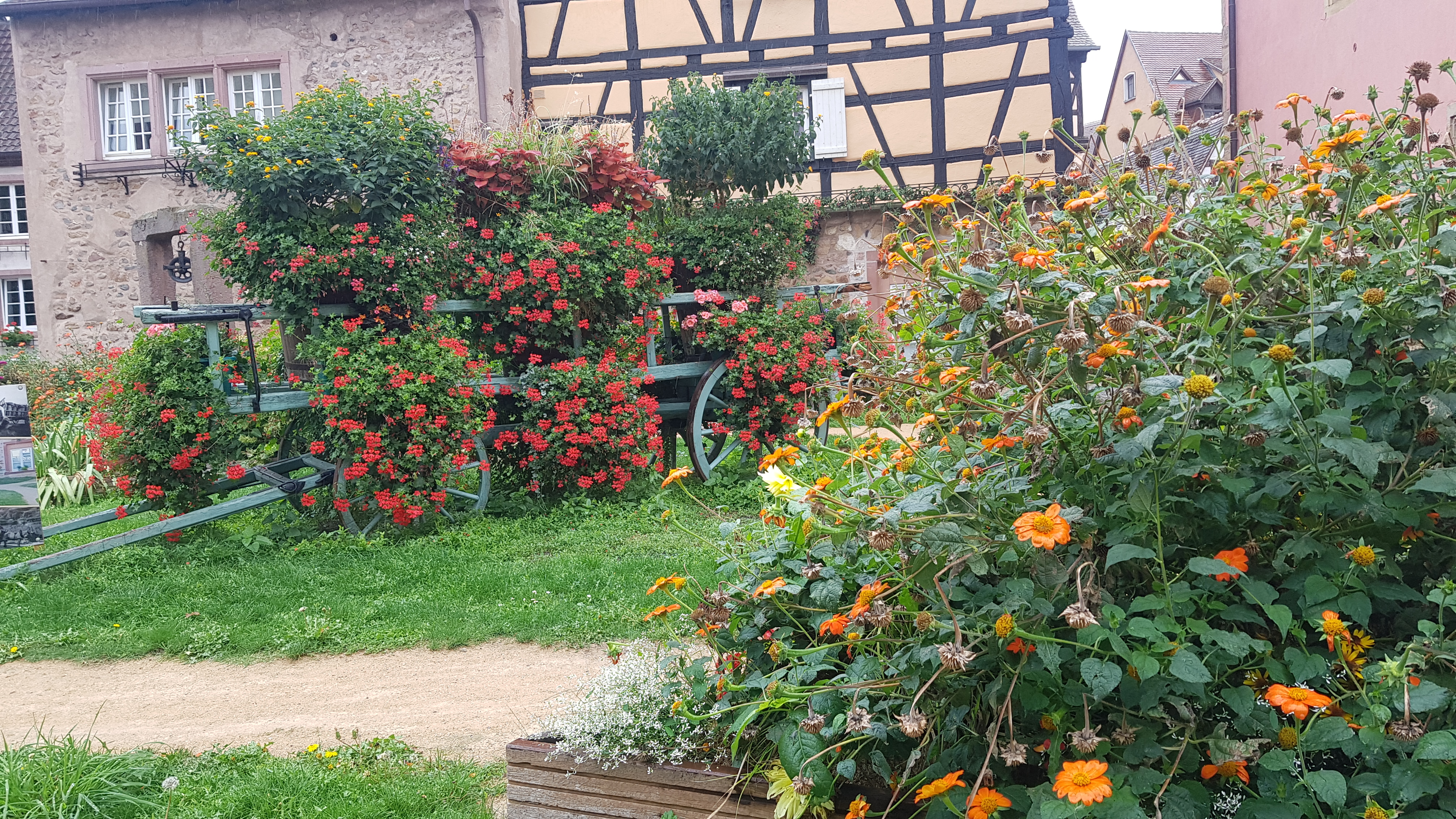 Photo n° 6 de l'avis de Antonio.i fait le 16/09/2022 à 17:58