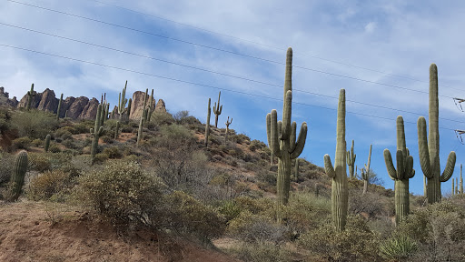 Tourist Attraction «Apache Trail Tours», reviews and photos, 4650 N Mammoth Mine Rd, Apache Junction, AZ 85119, USA