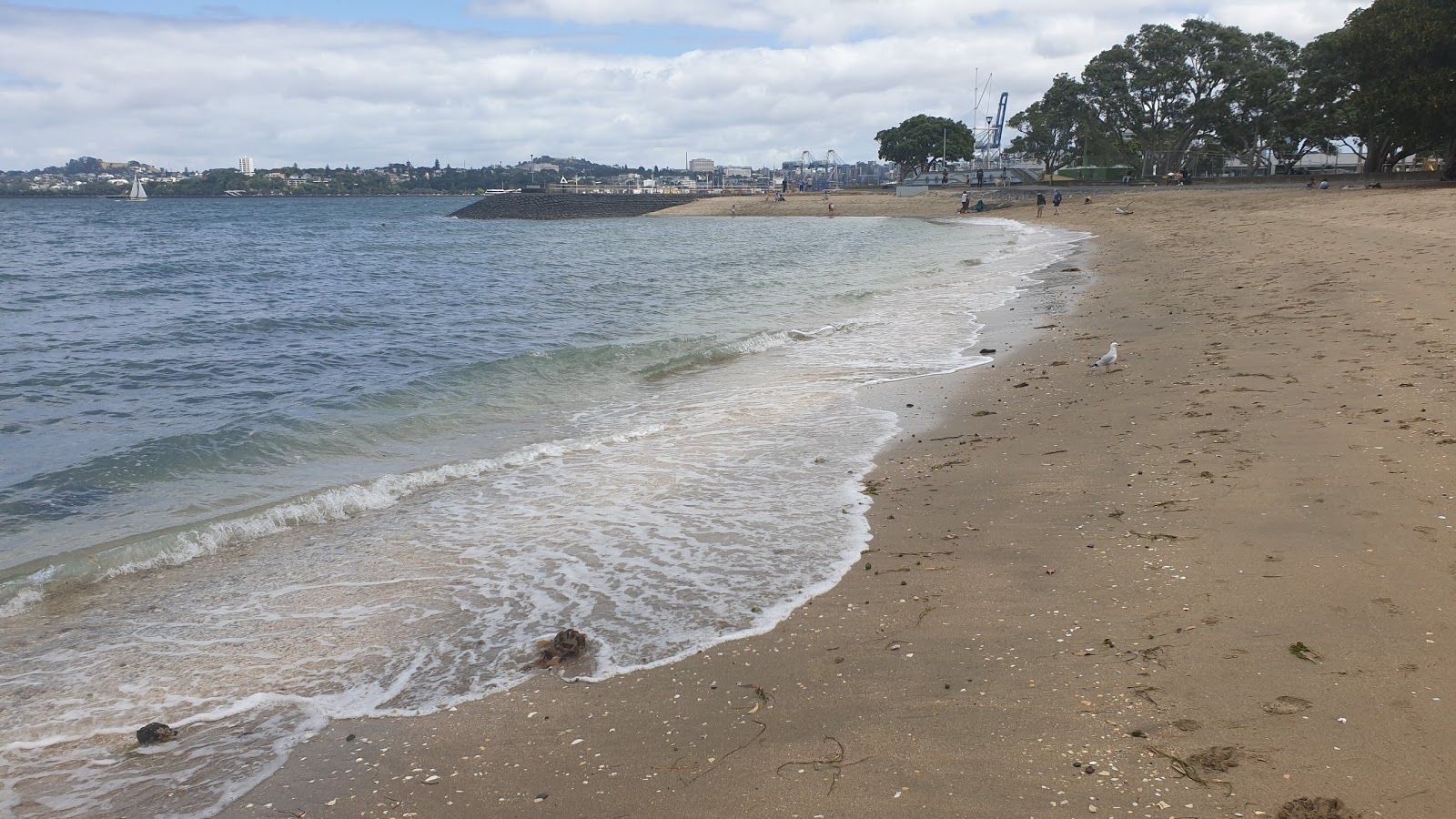 Foto van Devonport Beach en de nederzetting