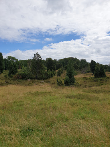 The Südheide Nature Park