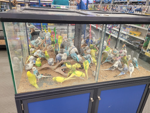 Pet Store «B & B Pet Stop, Inc.», reviews and photos, 5035 Cottage Hill Rd, Mobile, AL 36609, USA