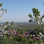 Photo n°2 de l'avis de Haider.h fait le 29/04/2018 à 07:50 sur le  Arens Hotel 327m NN à Sankt Martin