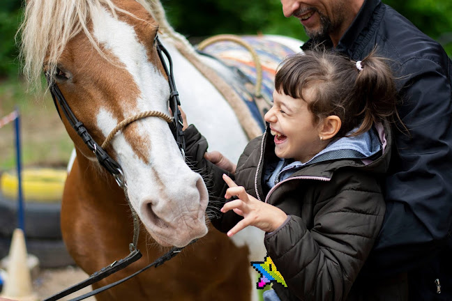 Ахил Хорсес - Туристическа агенция