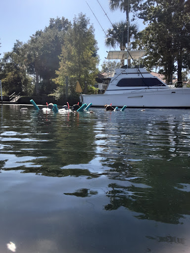 Tourist Attraction «Fun 2 Dive - Swim with Manatees», reviews and photos, 135 NE 3rd St, Crystal River, FL 34429, USA