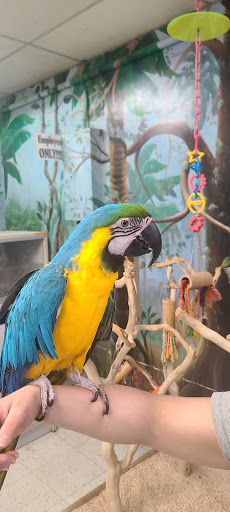 Pet Store «Pet World», reviews and photos, 7585 W 10th Ave, Lakewood, CO 80214, USA