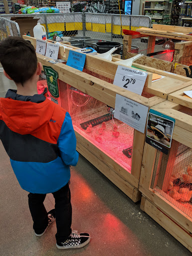 Clothing Store «Big R McHenry», reviews and photos, 1860 N Richmond Rd, McHenry, IL 60051, USA