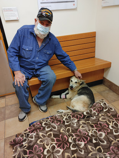 Pet Supply Store «PetSmart», reviews and photos, 916 Loganville Hwy, Bethlehem, GA 30620, USA