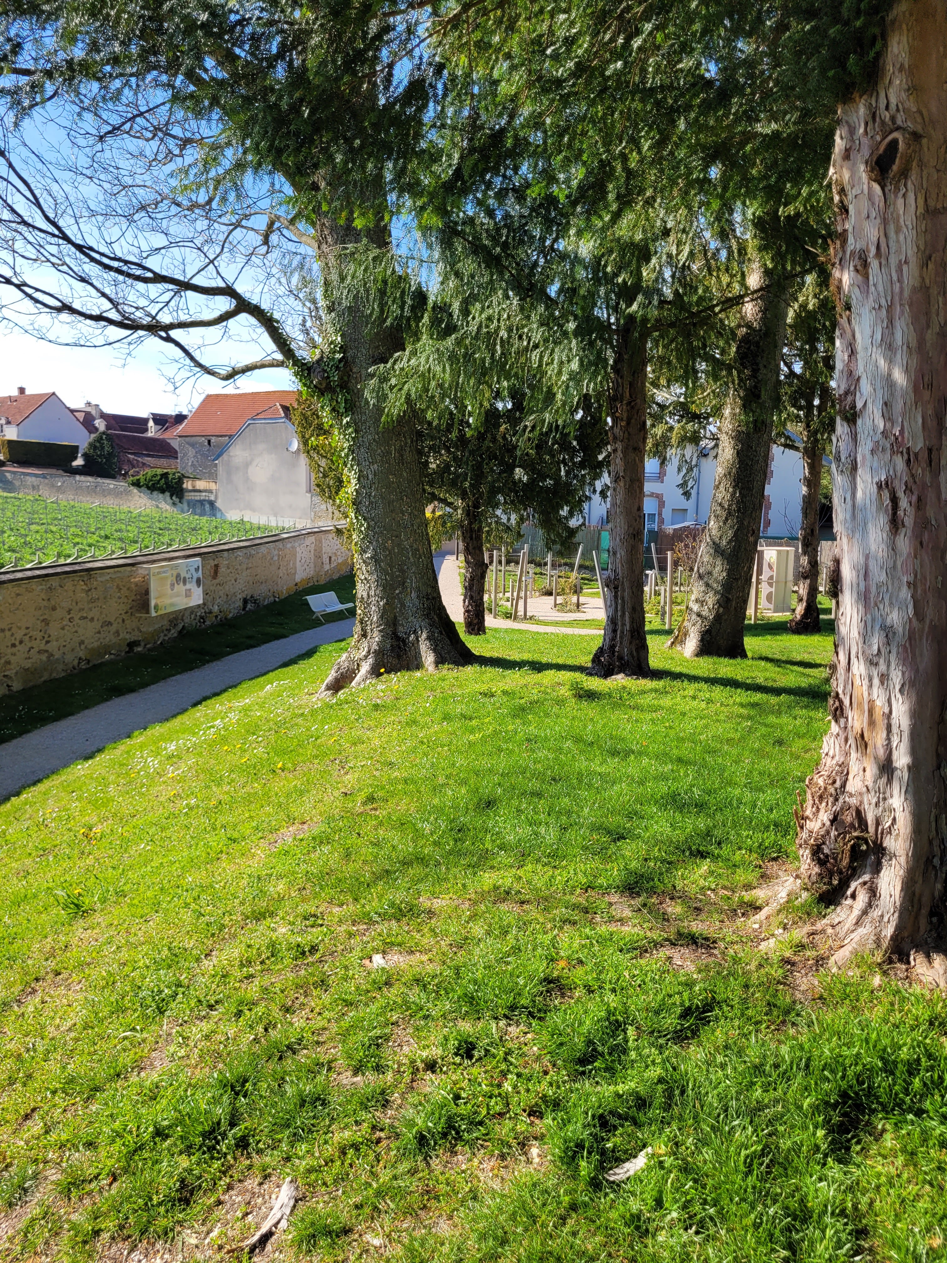 Photo n° 3 de l'avis de Rom.g fait le 16/04/2023 à 18:27