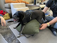 Dog House Rehab - Photo 6 - Car repair in , Glendale