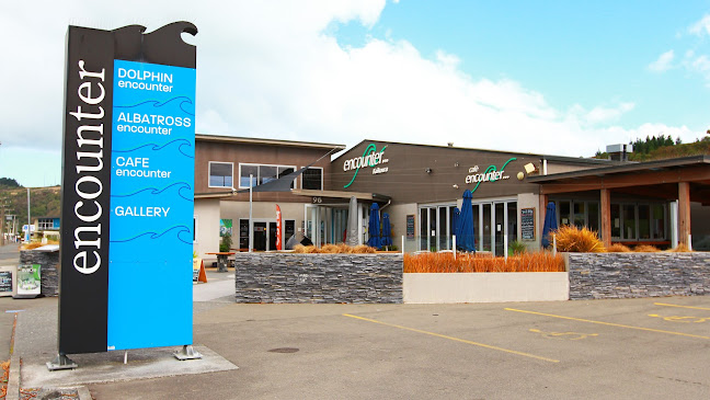 Comments and reviews of Encounter Kaikoura (Dolphin Encounter)