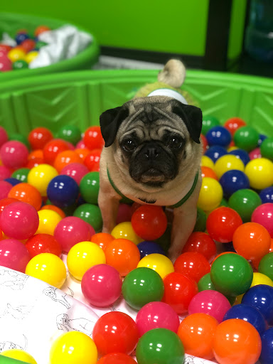 Pet Supply Store «The Green Spot», reviews and photos, 1110 S 71st St, Omaha, NE 68106, USA