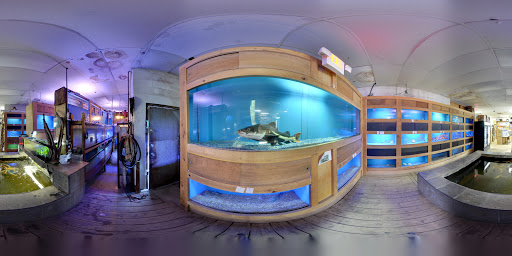 Tropical Fish Store «Ocean Aquarium», reviews and photos, 6820 E Black Horse Pike, Egg Harbor Township, NJ 08234, USA