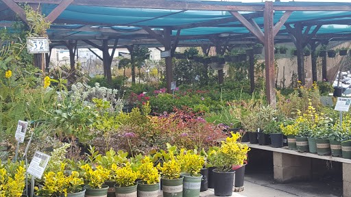 Gift Shop «Blue Hills Nursery & Gift Shop», reviews and photos, 16440 Whittier Blvd, Whittier, CA 90603, USA