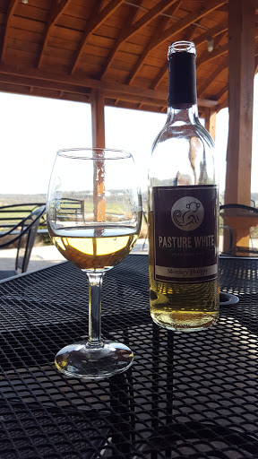 Winery «Monkey Hollow Winery», reviews and photos, 11534 E County Road 1740 N, St Meinrad, IN 47577, USA