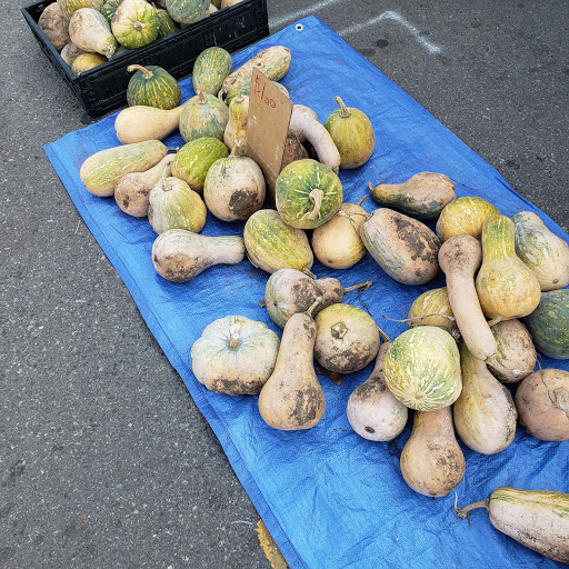 Shopping Mall «Uni-Dale Mall», reviews and photos, 608 University Ave W, St Paul, MN 55103, USA