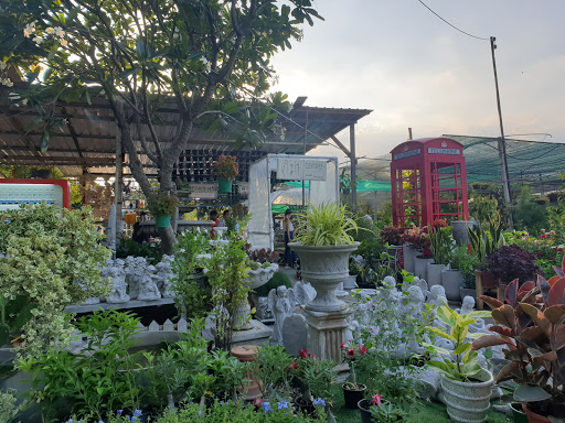 Stores to buy outdoor plants Bangkok
