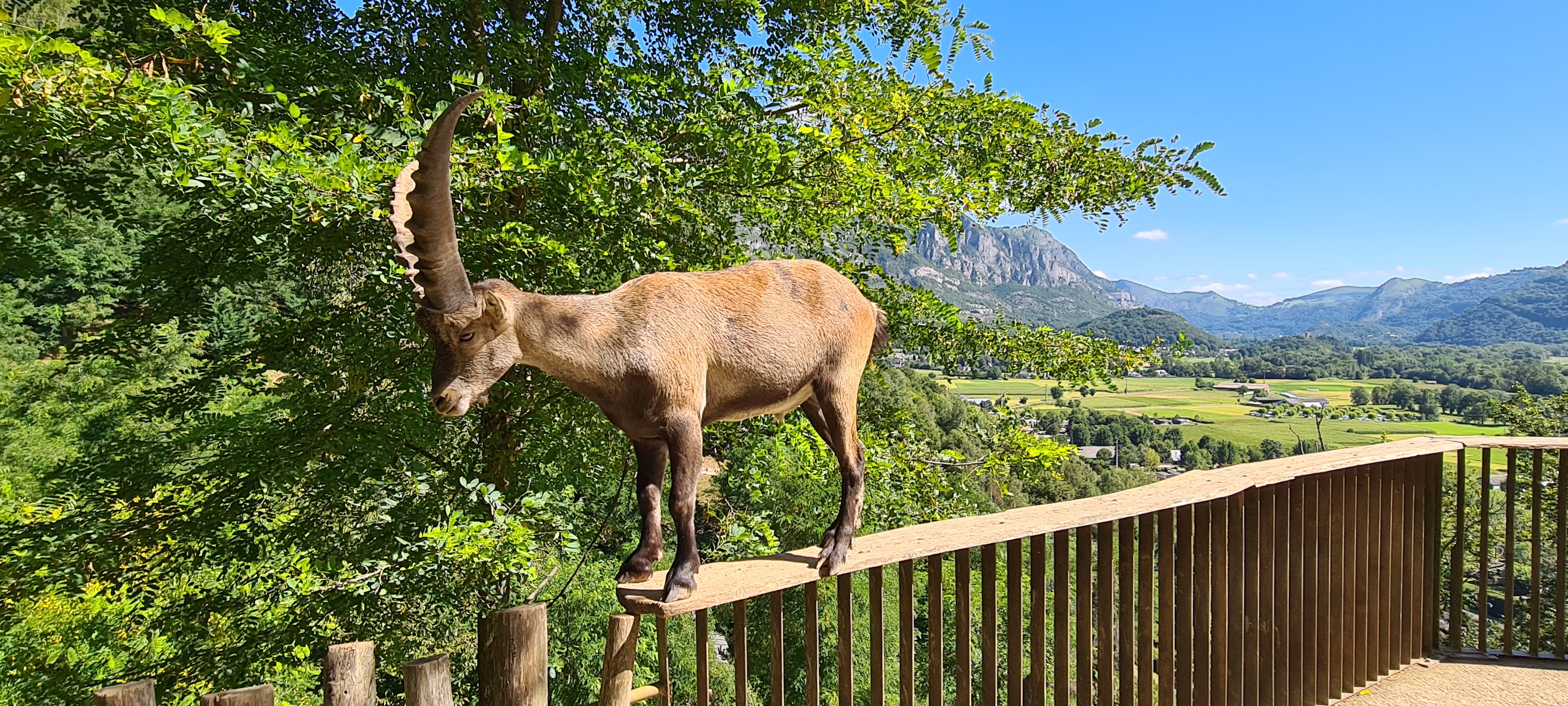 Photo n° 2 de l'avis de Fabien.o fait le 07/08/2023 à 11:37