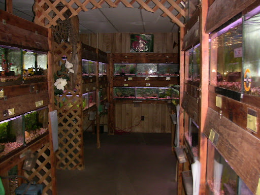 Pet Store «Boiling Springs Pet World», reviews and photos, 2651 Boiling Springs Rd, Spartanburg, SC 29316, USA