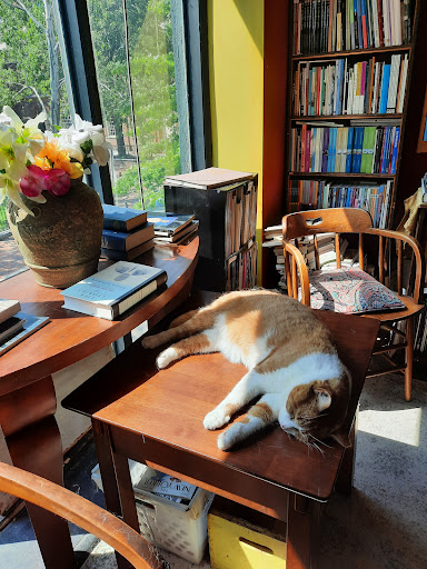 Used Book Store «The Book Trader», reviews and photos, 7 N 2nd St, Philadelphia, PA 19106, USA