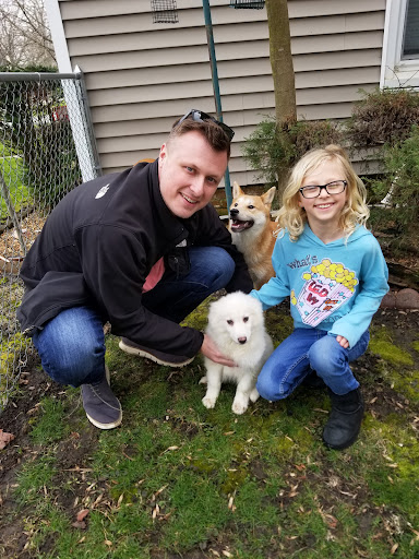 Ingrams Online Kennels