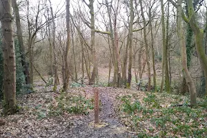 Scadbury Park Nature Reserve image