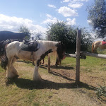 Photo n°4 de l'avis de flavia.. fait le 07/06/2020 à 11:23 sur le  Sulla Collina à Castelnuovo di Farfa