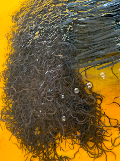 Top 20 caard cửa hàng Huyện Long Hồ Vĩnh Long 2022