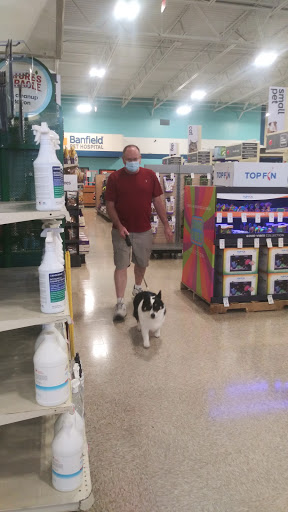 Pet Supply Store «PetSmart», reviews and photos, 6001 Wesley Grove Blvd, Wesley Chapel, FL 33544, USA