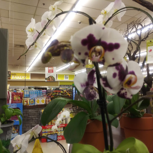 Albertsons image