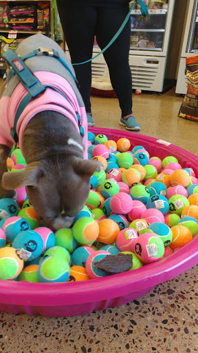 Pet Supply Store «Pet Supplies Plus», reviews and photos, 345 Willow Bend, Crystal, MN 55428, USA